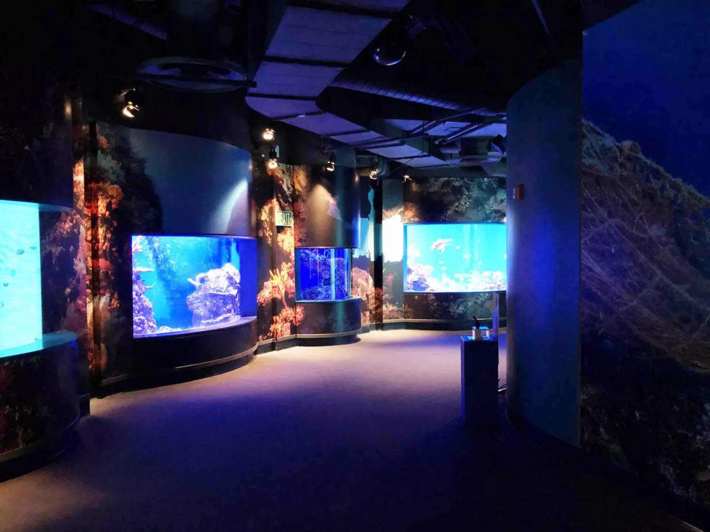 AQUARIUM OF THE PACIFIC <br>CORAL REEFS GALLERY